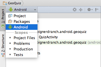 Changing the project view